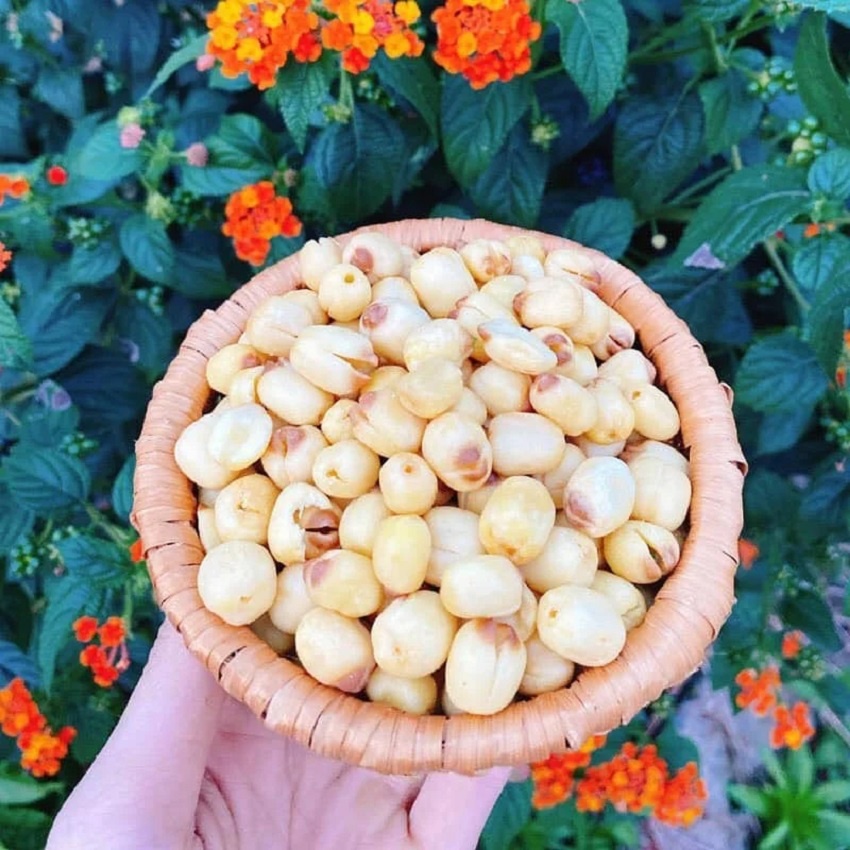 Hạt sen sấy giòn (150g)