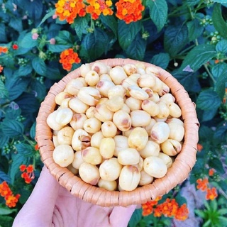 Hạt sen sấy giòn