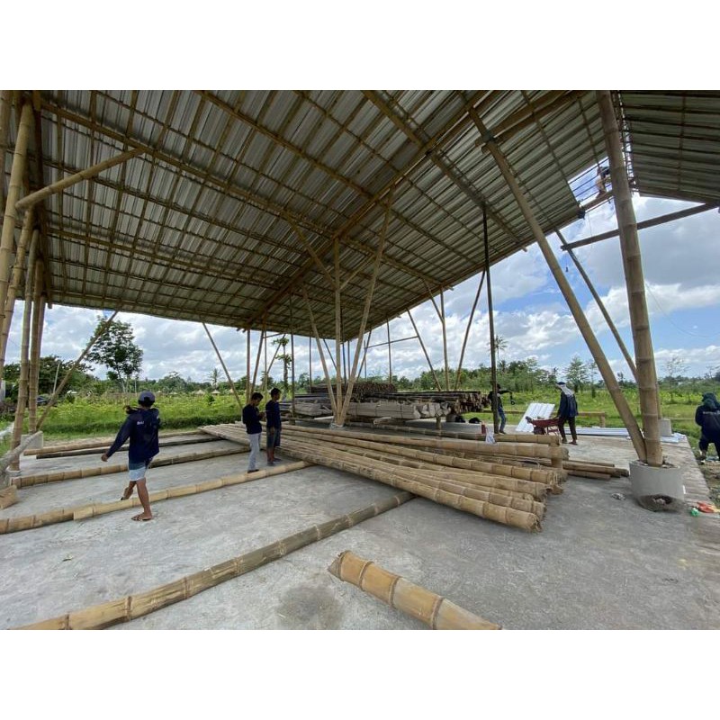 Cây tre làm nhà làm trụ làm kèo làm cột