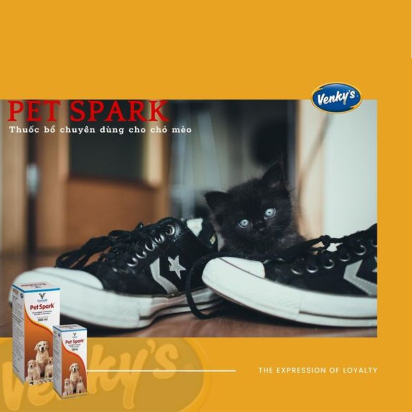 Vitamin tổng hợp Pet Spark bổ sung Vitamin, khoáng chất phù hợp bồi bổ sau bệnh hàng nhập khẩu
