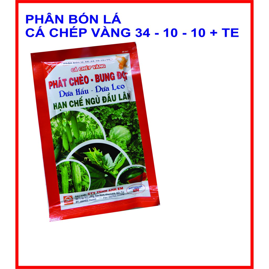 Phân bón lá cho Dưa hấu, Dưa leo phát chèo, bung đọt Cá Chép vàng 34 - 10 - 10 +TE.