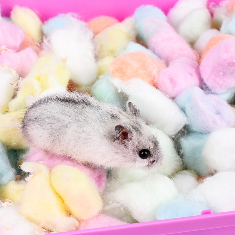 Bông gòn cotton lót ổ cho hamster , sóc