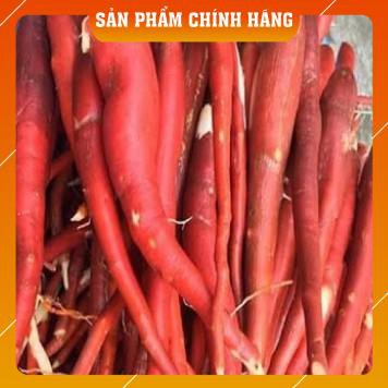 [Freeship] SÂM CAU ĐỎ dược liệu ngâm rượu bổ dương mạnh gân cốt túi túi 1kg