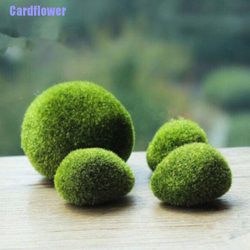 (Hàng Mới Về) Quả Bóng Đá Rêu Nhân Tạo Dùng Để Trang Trí