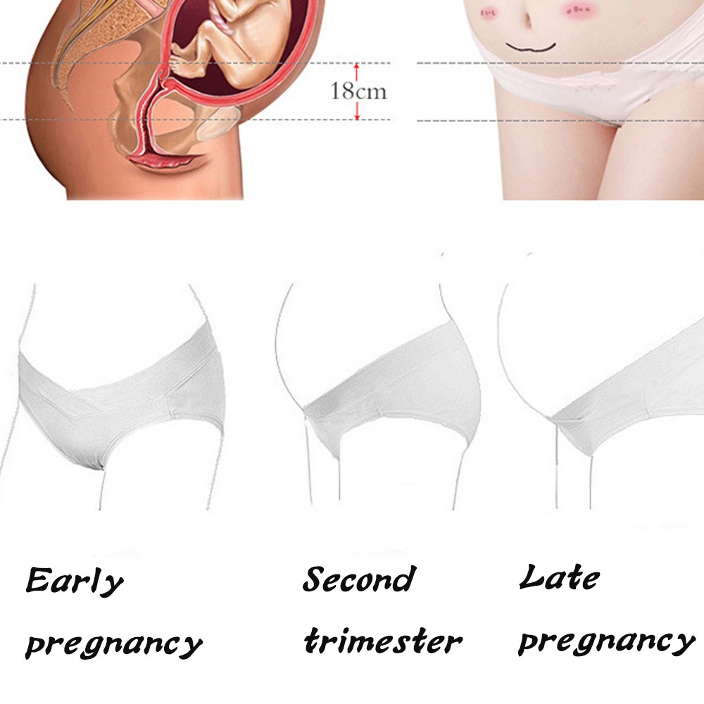 Quần Lót Cotton Cho Bà Bầu