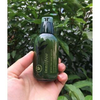 Tinh chất trà xanh innisfree green tea seed serum