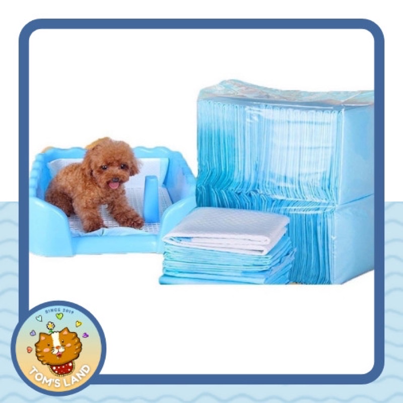 Lót chuồng, lót khay vệ sinh cho thú cưng 🐶🐱