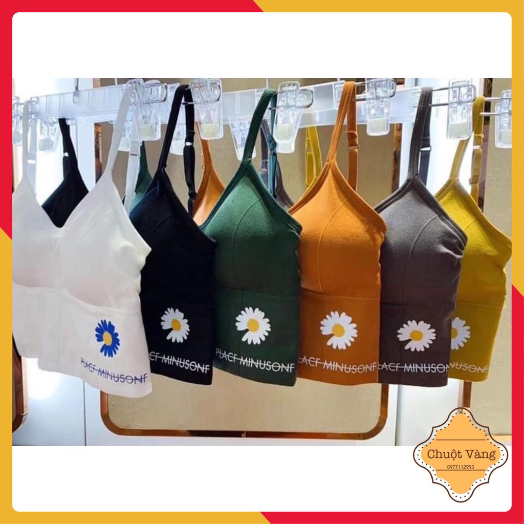 [HOT TREND] BRA HOA CÚC