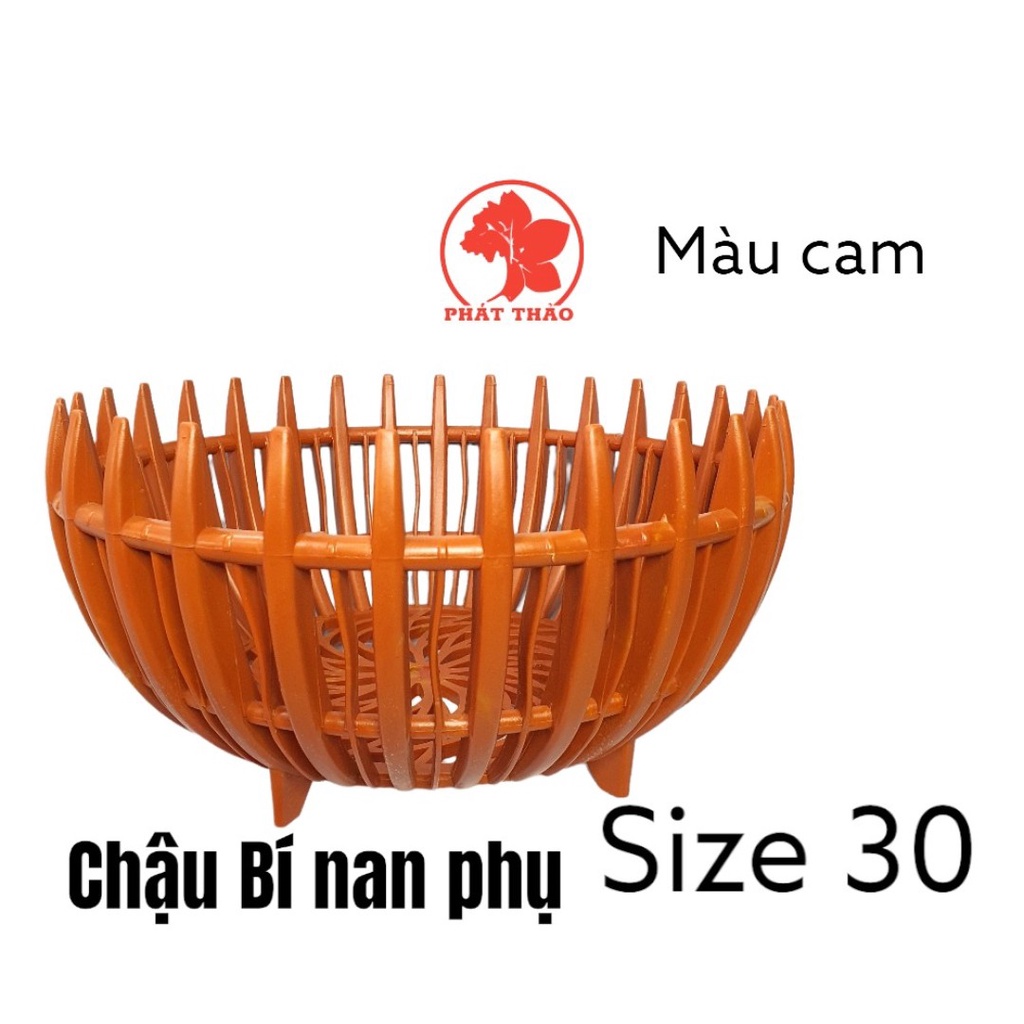 Chậu nhựa trồng lan Bí  nan phụ, dầy tốt, Trồng lan ngọc điểm, lan denro, giả hạt