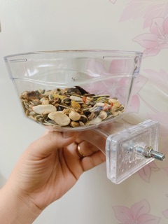 Hộp đựng thức ăn cho Vẹt