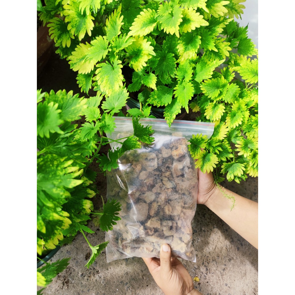 1kg Xỉ Than dùng để lót chậu, trộn trồng rau, cây cảnh