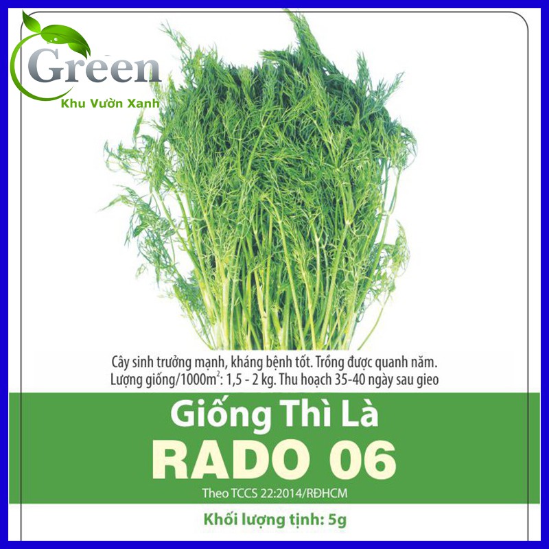 Hạt Giống Rau Thì Là Chịu Nhiệt, Dễ Trồng Quanh Năm