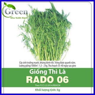 Hạt Giống Rau Thì Là
