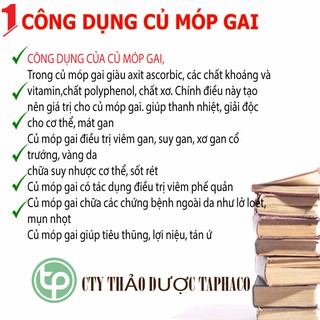 Móp gai khô - Thảo dược Tấn Phát