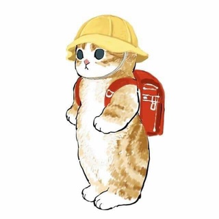 Thức ăn cho mèo - Cỏ mèo Catnip