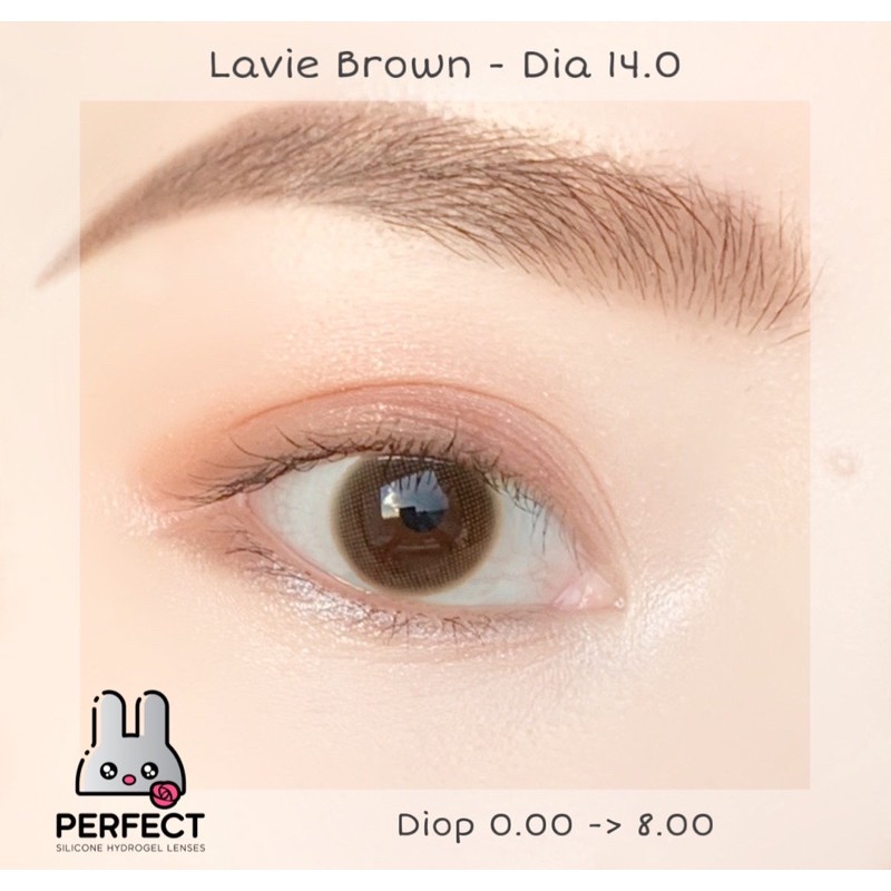 [Sale] [FREESHIP đơn từ 0đ] (Giá 1 Chiếc) Lens Lavie Brown (0.00 -> 8.00) dia 14.0 Kính Áp Tròng cao cấp