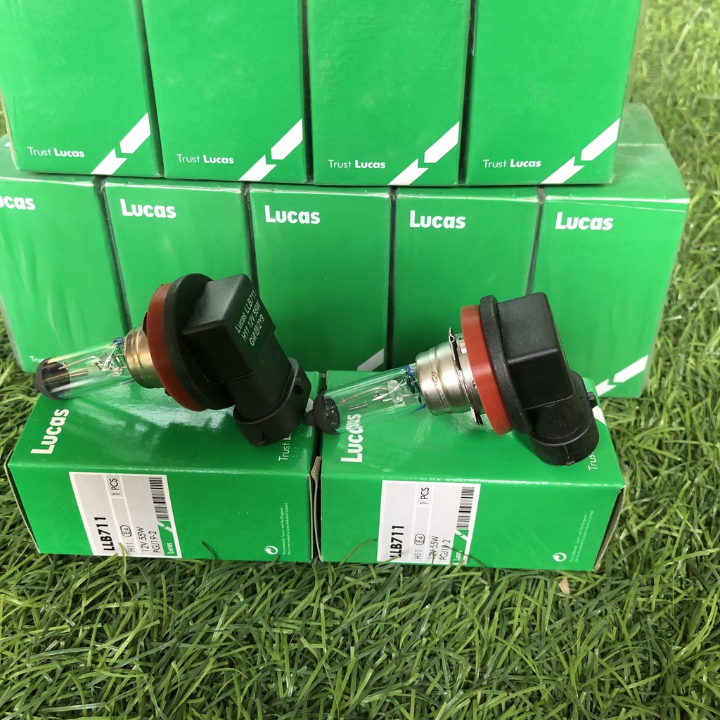 BÓNG ĐÈN GẦM CHÂN H11