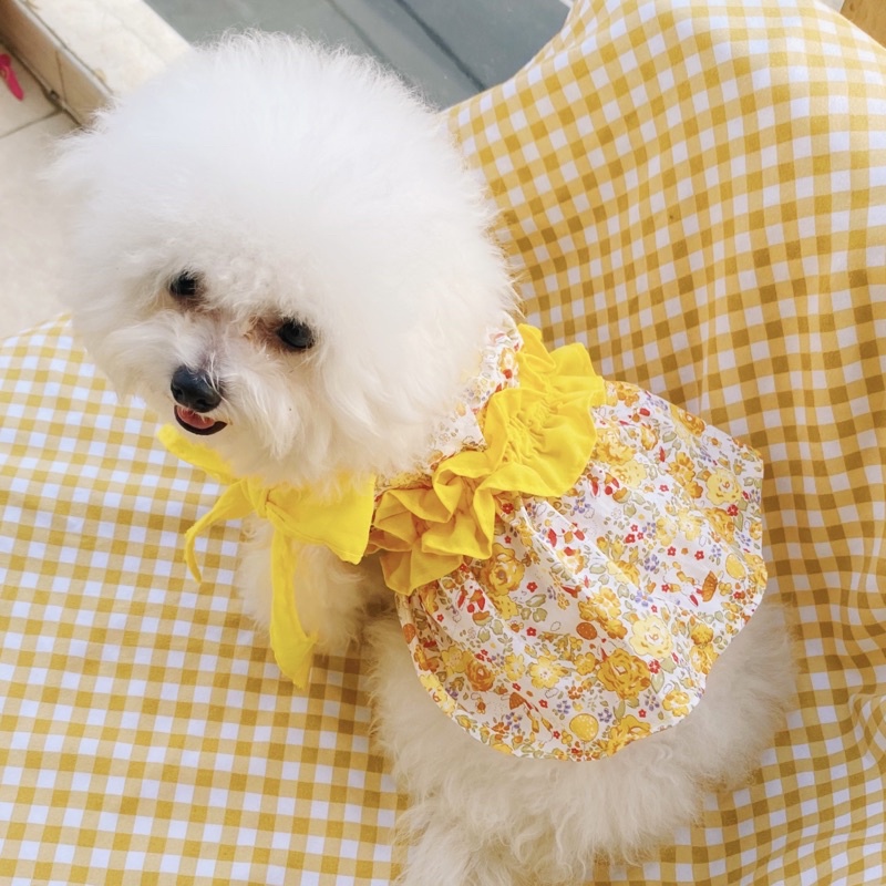 Đầm CộtNơ Thiết Kế Xinh Xắn Thời Trang Cho Thú Cưng