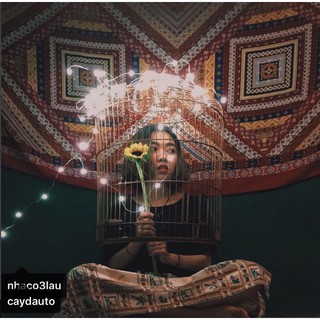 Dây Đèn Trang Trí Chips Bling (5M, 10M)