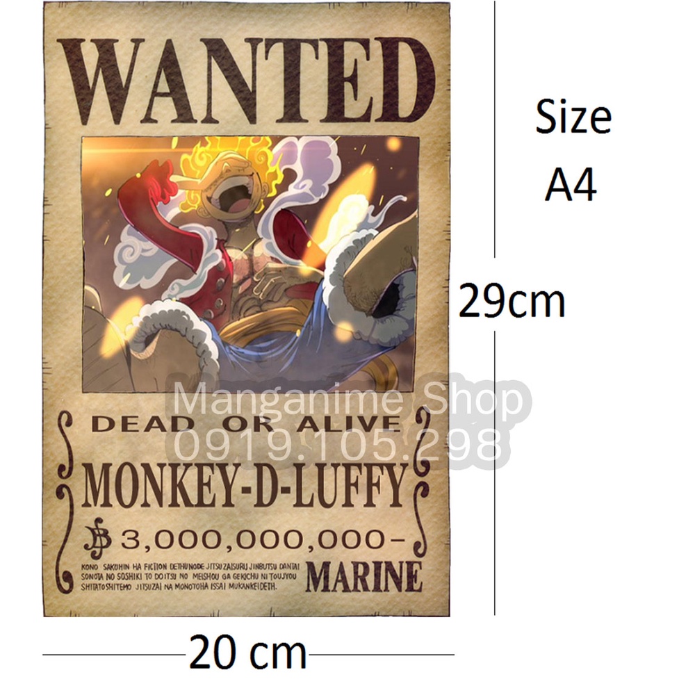 Bộ 20 tấm truy nã cao nhất onepiece wanted poster loại mỏng
