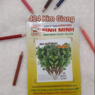 Hạt giống rau mùi