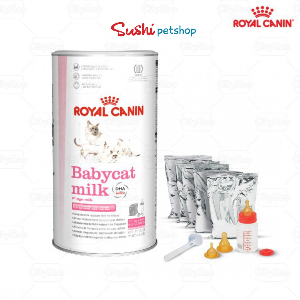Sữa Bột Dinh Dưỡng Cho Mèo Con Babycat Milk Royal Canin Túi 100gr | Hộp 300gr