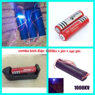 Combo kích điện 1000kv - pin - sạc pin
