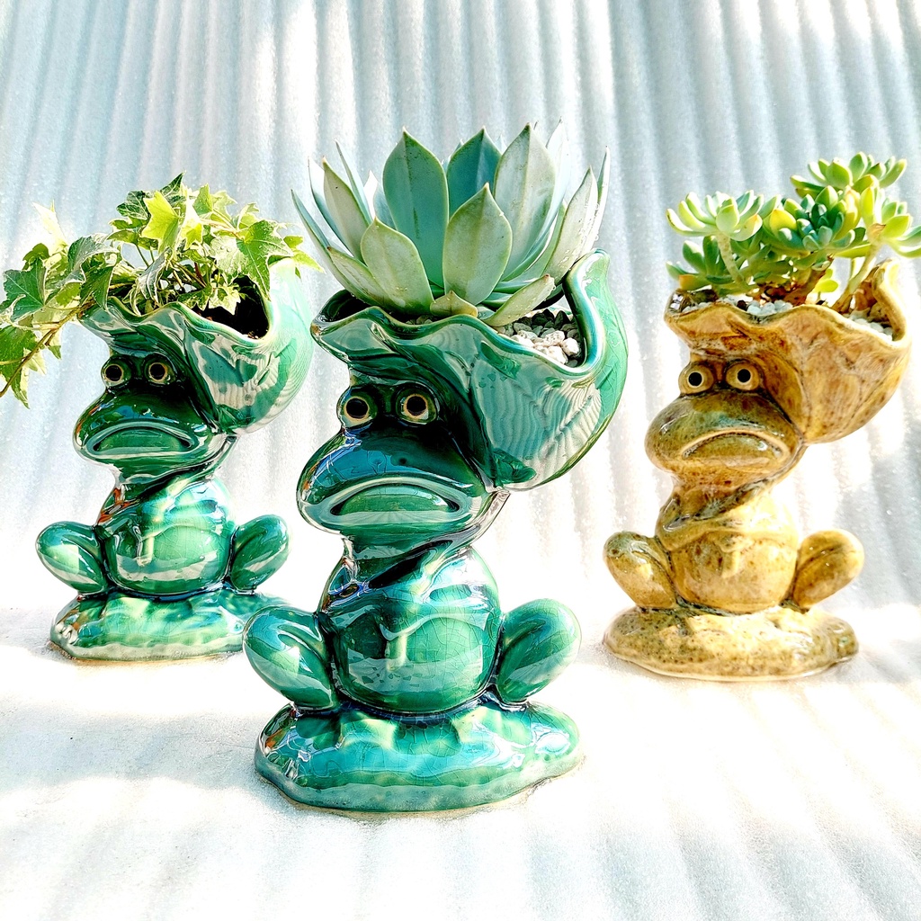 Chậu men, Chậu sen đá - Chú ếch vác lá sen, miệng chậu 11cm, chiều cao 21cm