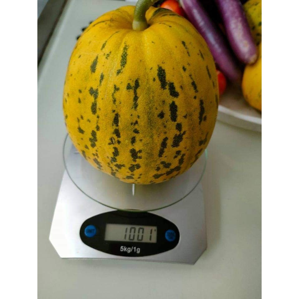 Dưa Lê Tiger Siêu Ngọt