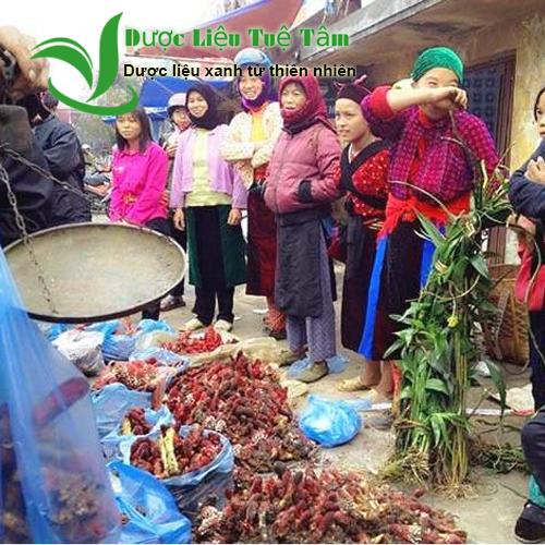 Nấm ngọc cẩu khô - LOẠI RỪNG LÂU NĂM