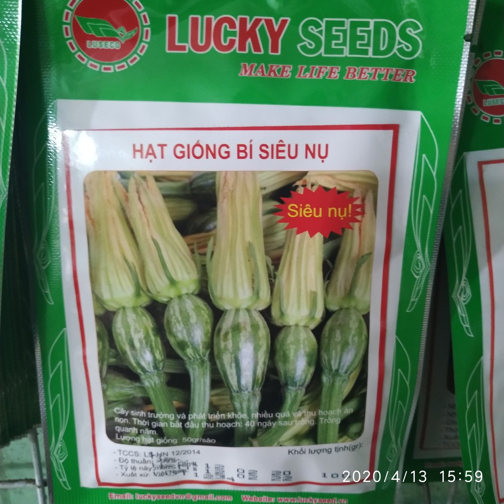 Hạt giống bí siêu nụ gói 10g