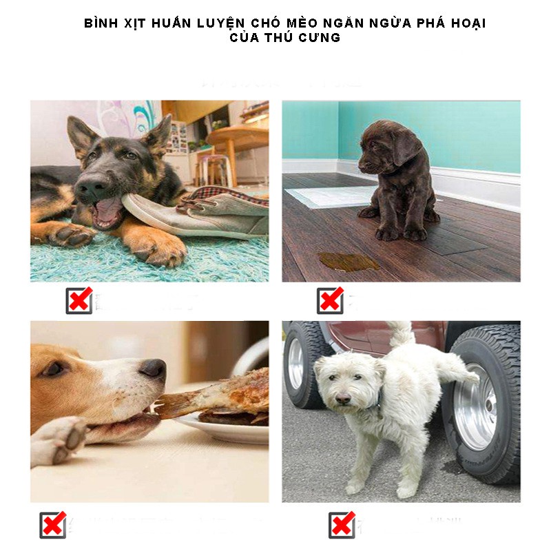 [Mã PET50 giảm 10% - tối đa 50K đơn 250K] Xịt huấn luyện đi vệ sinh đúng chỗ cho chó mèo