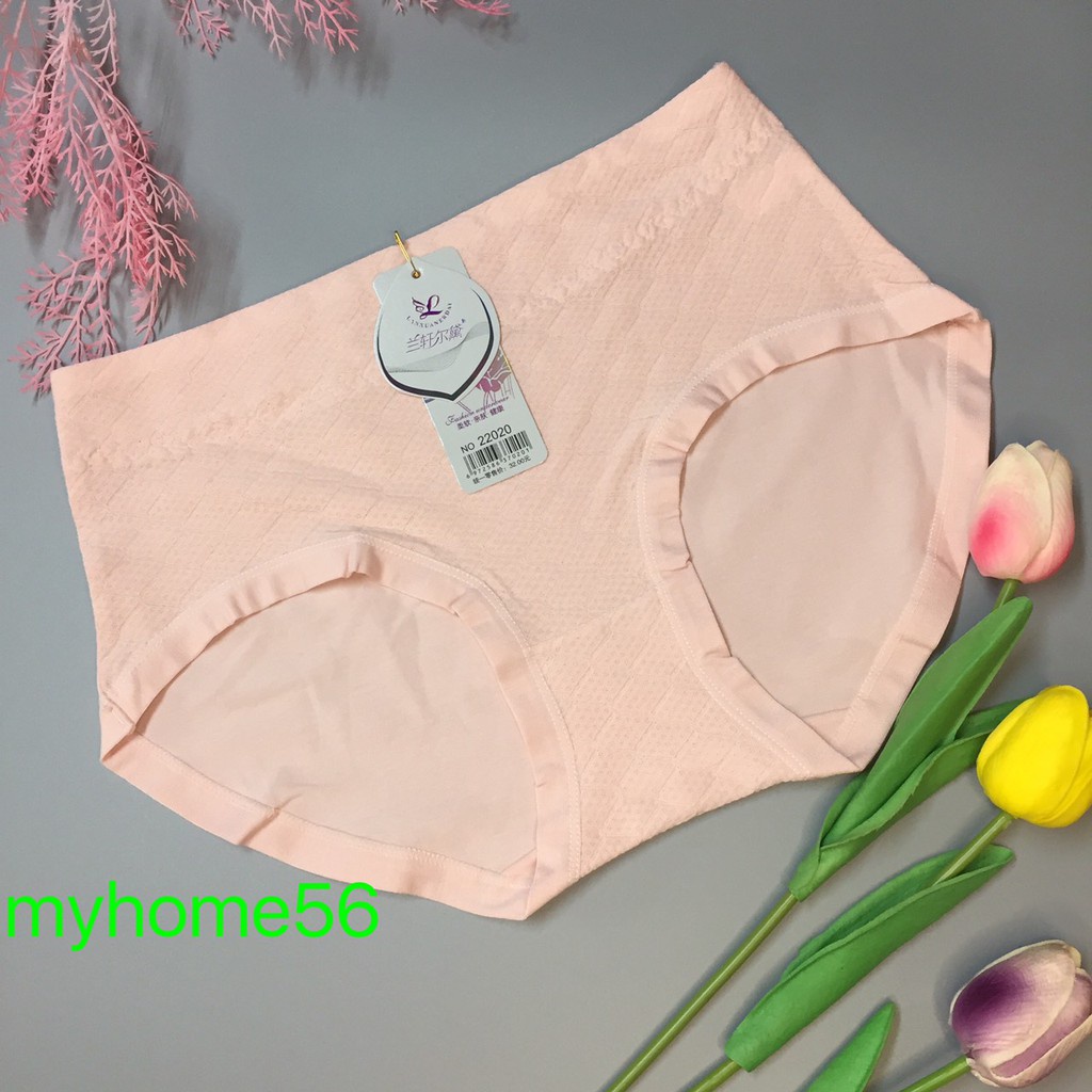 Quần lót cạp cao thông hơi vải cotton 20220