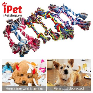 Đồ Chơi Gặm Hình Dây Thừng Thắt Cho Thú Cưng Chó Mèo - iPet Shop