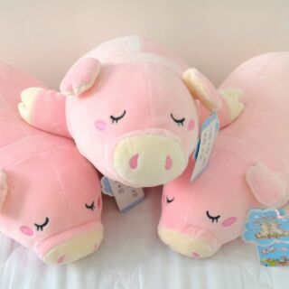 Heo hồng nằm little cucu