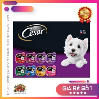 Pate cesar hộp 100g thức ăn ướt cho chó 9 vị