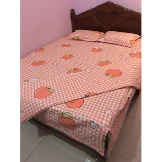 Bộ chăn ga gối cotton poly trần bông ga phủ có size Xinhbedding