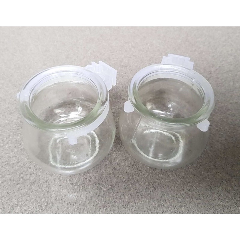 Cóng Thuỷ tinh cho chim Cu Gáy