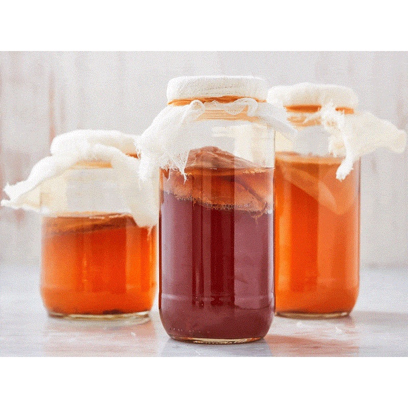 Scoby Bộ dụng cụ nuôi Con giống trà Kombucha Kèm 100ml nước mồi