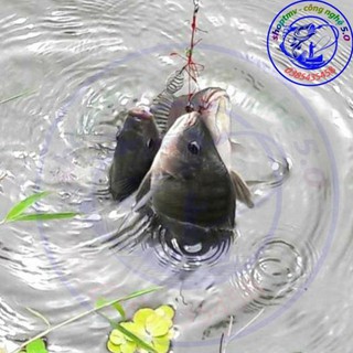 Lưỡi Câu Lăng xê 1 bộ 2 cái !
