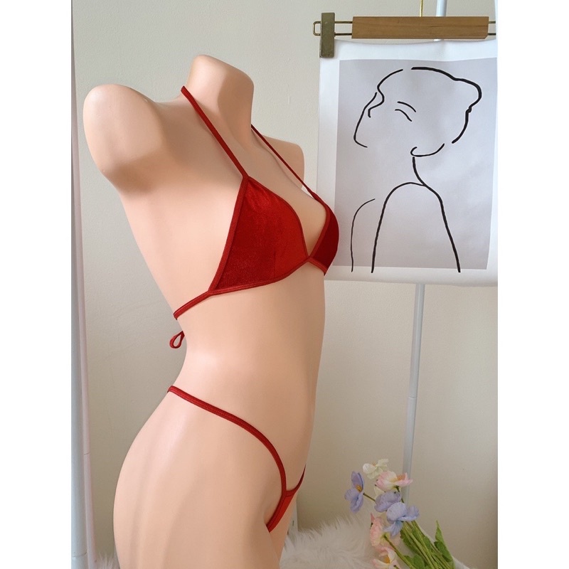 Bk041  - Bộ đồ lót lọt khe nhung quyến rũ cho nữ - Camluu99