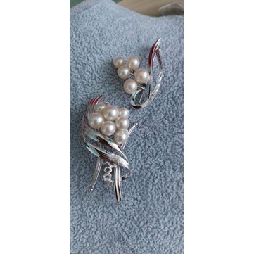 Trang sức si nhật .