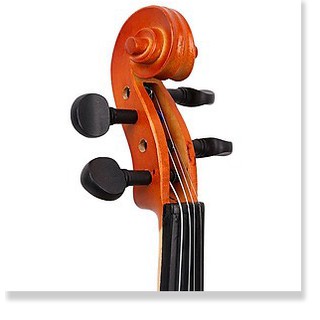 Đàn Violon, Violin Vines V35