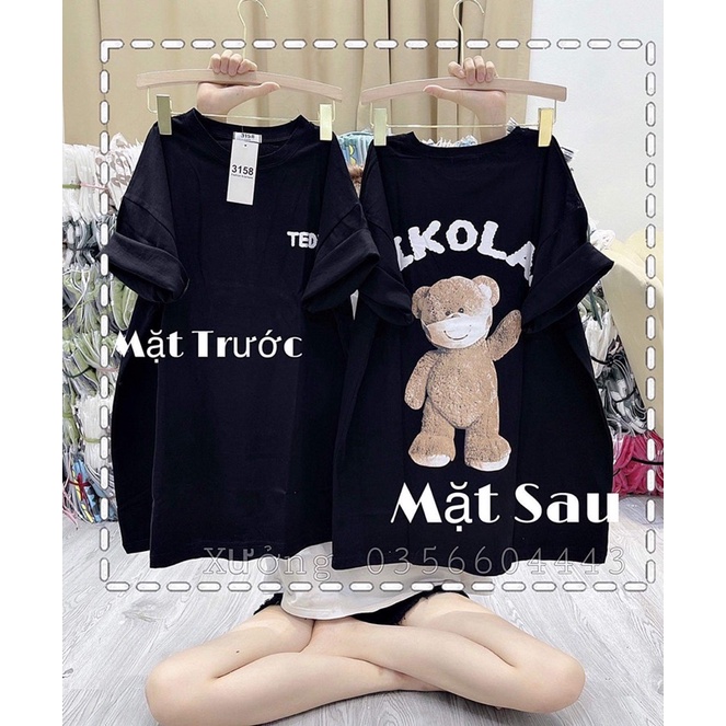 Áo phông gấu NIKOLA in hai mặt LN12