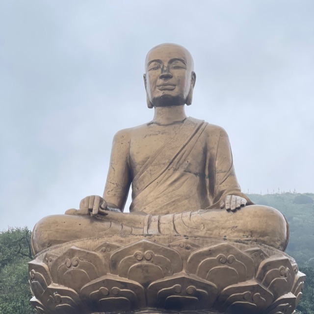 vuhuytruongmc86