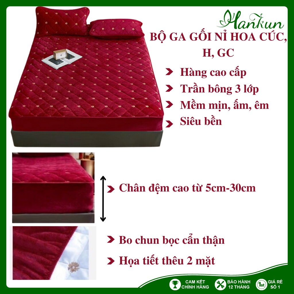 Bộ ga gối drap thảm trải giường nỉ nhung trần bông 3 lớp hình gấu nhập khẩu siêu ấm M6/M8/2M2