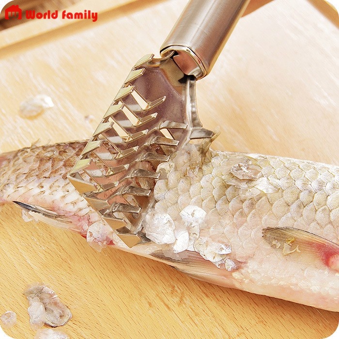 Dụng Cụ Lóc Đánh Vảy Cá Đồ Cạo Vảy Cá Inox