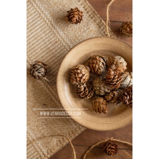 Set trái thông cánh mềm trang trí noel hoặc làm handmade