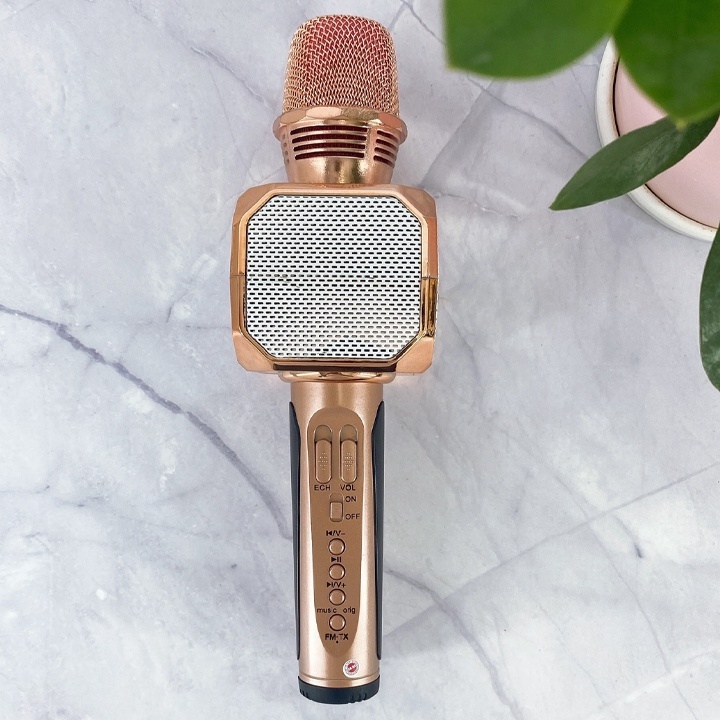 MICRO karaoke bluetooth SD 10 không dây có loa TUYỆT ĐỈNH SIÊU PHẨM - BH 6 tháng - CAM KẾT CHÍNH HÃNG
