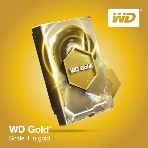 [Mã ELCLMAY giảm 7% đơn 500K] Ổ cứng HDD 3.5inch WD Gold 12Tb sata3 7200 dòng 256Mb cache | BigBuy360 - bigbuy360.vn